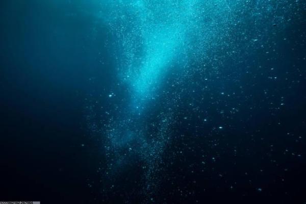 天心体育培训团购价格(图1)